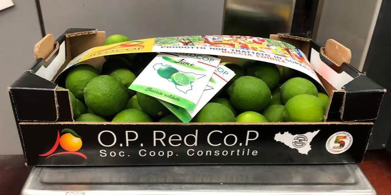 Cassetta O.P. Red Co.P. di lime