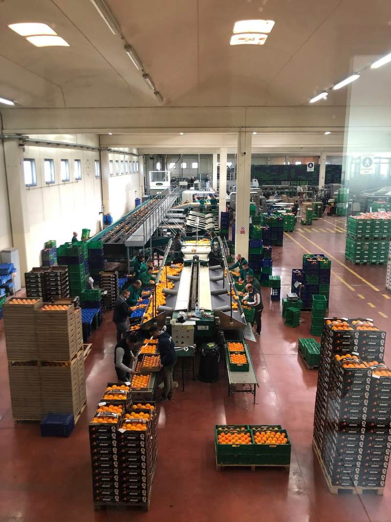 La linea di lavorazione